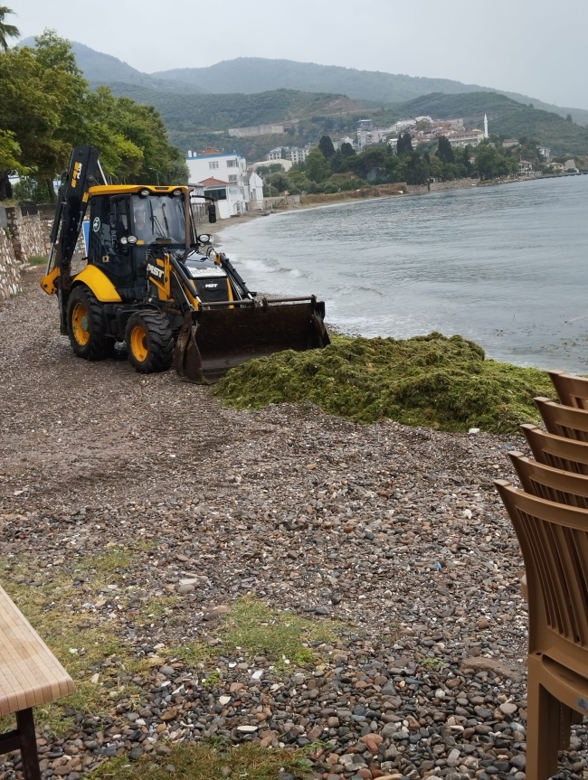Bursa sahillerinde son durum