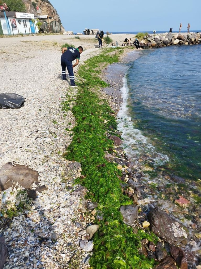 Bursa sahillerinde son durum