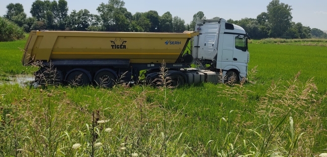 Çeltik tarlasına giren TIR çamura saplandı