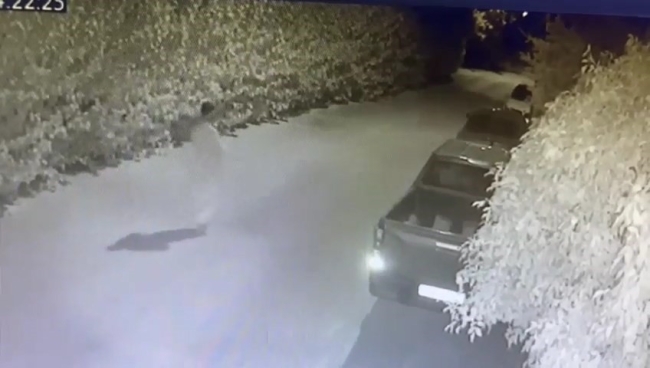 Hırsız elini kolunu sallayarak kaçtı