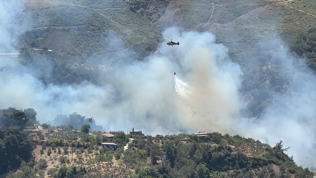 Hatay'da orman yangını