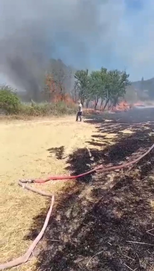 Buğday ekili tarlada yangın paniği