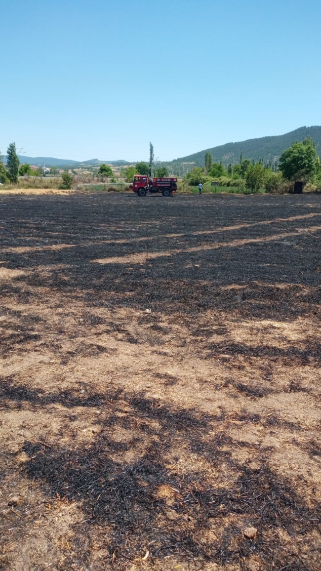 Buğday ekili tarlada yangın paniği