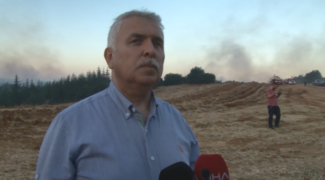 Tekirdağ'daki yangında 300 hektar orman küle döndü