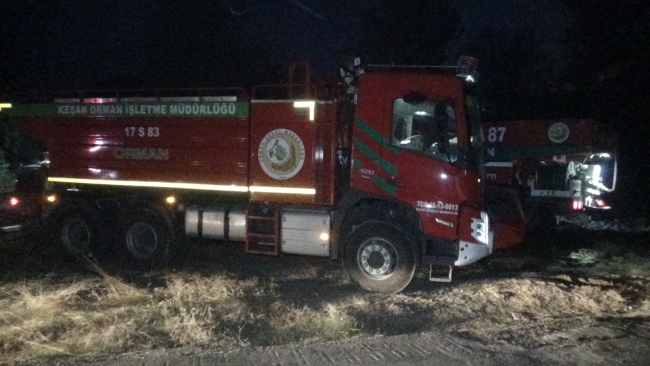Çanakkale'deki orman yangınına müdahale devam ediyor