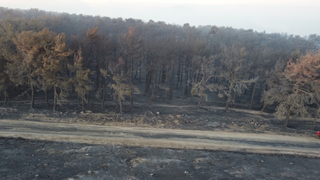 Çanakkale 38 saattir yanıyor