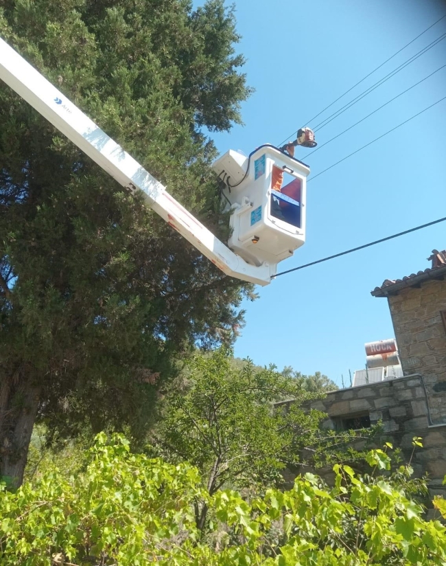 Marmaris’te yangına karşı ağaçlar budanıyor