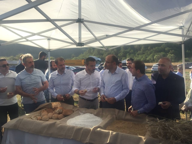 Yılın hasadı Kestel'de başladı
