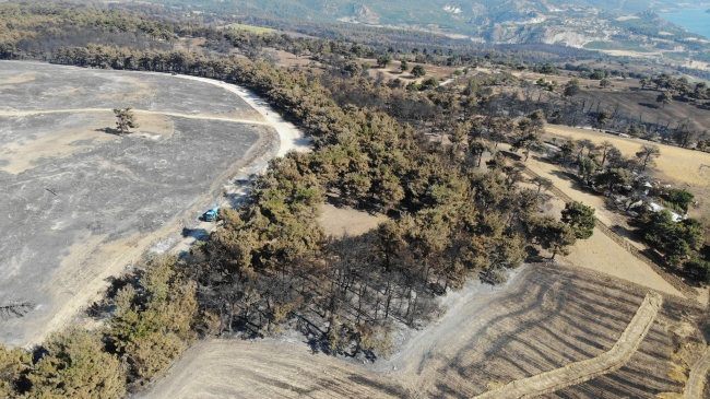 Çanakkale'deki orman yangını kontrol altına alındı