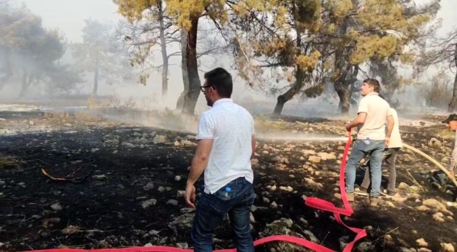 Gaziantep'te korkutan orman yangını