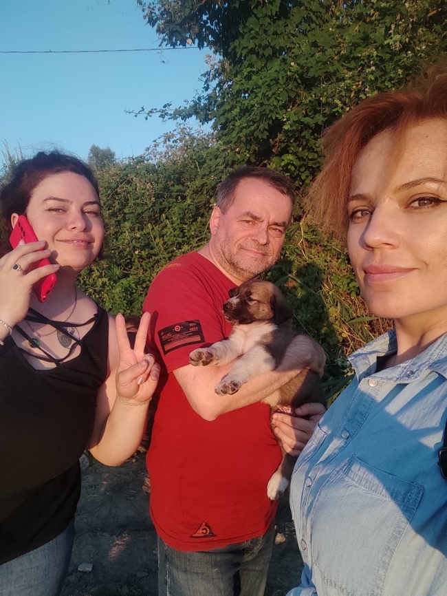 Bursa'da öldürülen köpeğin yavruları bulundu