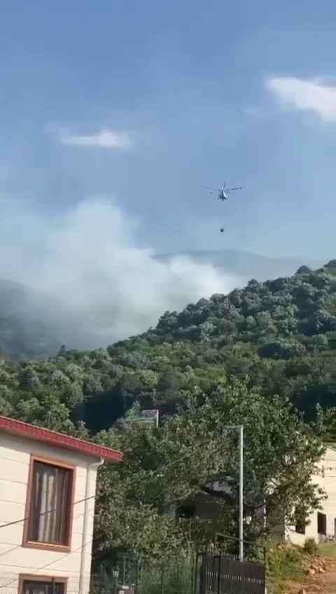 Uludağ'ın eteklerinde yangın!