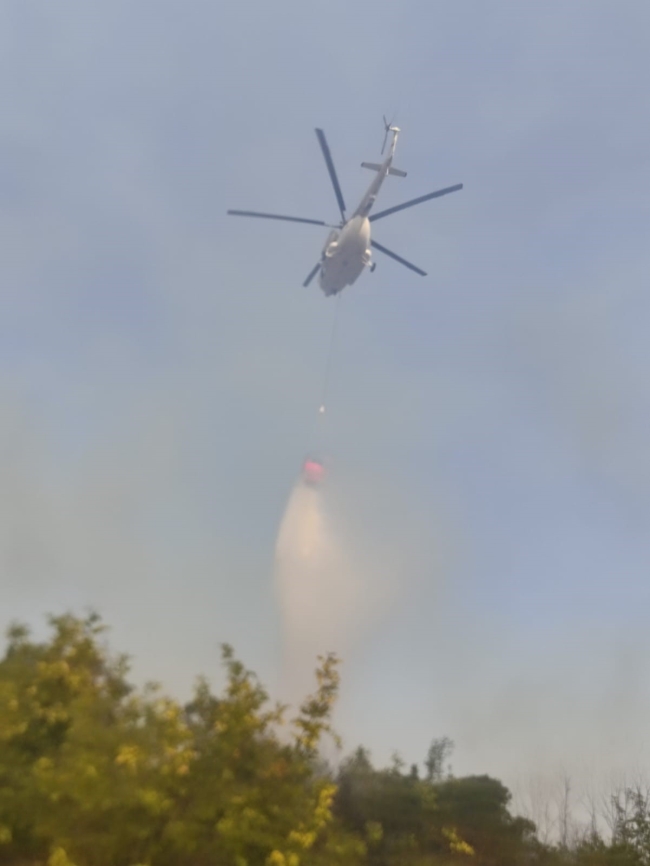 Çanakkale'deki orman yangını kontrol altına alındı