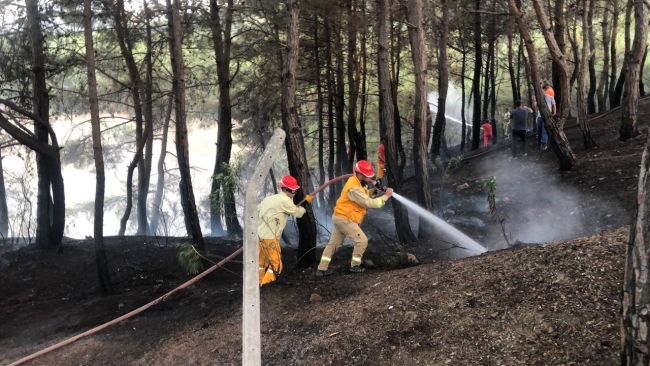 Adana’da orman yangını