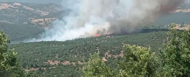 Kütahya'daki orman yangınına müdahale sürüyor