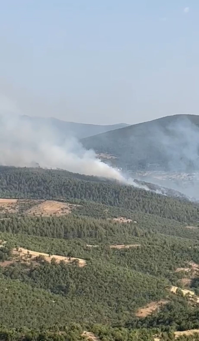 Kütahya'daki orman yangını havadan görüntülendi