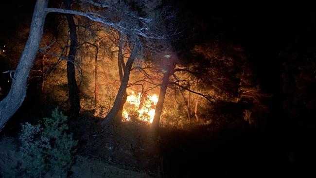 Çanakkale'de orman yangını! Müdahale başladı