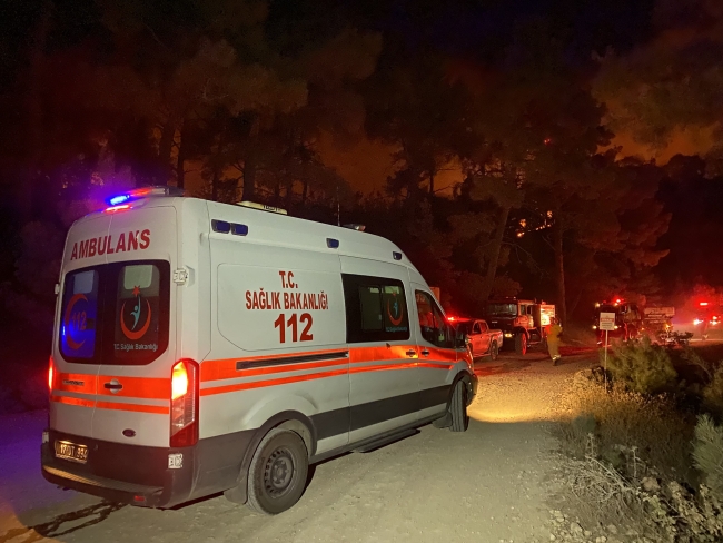 Çanakkale'de orman yangını! Müdahale başladı