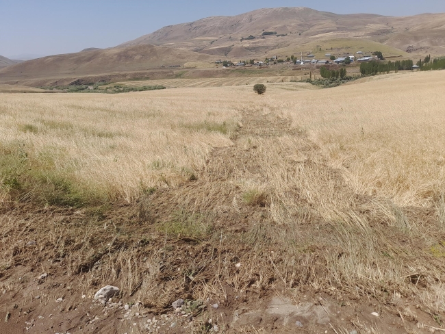 Yağış tarım arazilerine zarar verdi