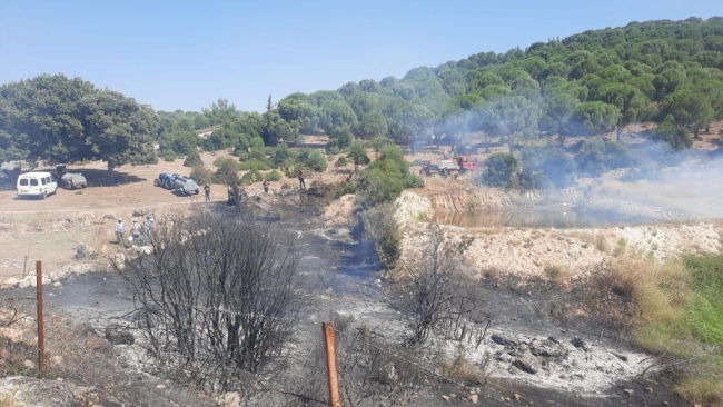 Koçarlı'da orman yangını söndürüldü