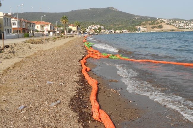 İzmir sahillerinde korkutan görüntü!