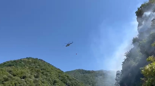 Bursa'da korkutan orman yangını!
