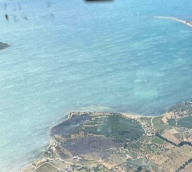 Urla'da yangın kontrol altına alındı