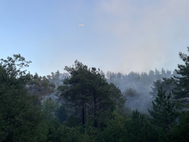 Sakarya'da çıkan orman yangını söndürüldü
