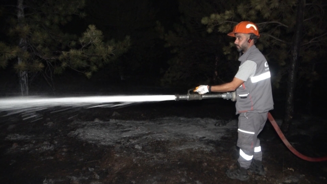 Kırıkkale'de orman yangını