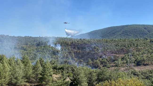 Alevler ormana sıçradı, müdahale sürüyor!