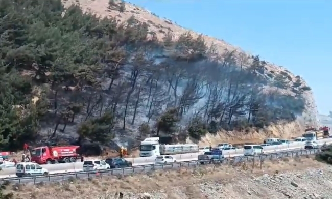 Hatay'da orman yangını kontrol altında