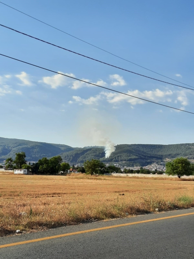 Muğla'da korkutan orman yangını