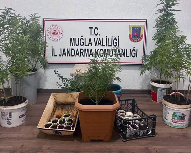 Firari şüpheli ormanlık alanda yakalandı