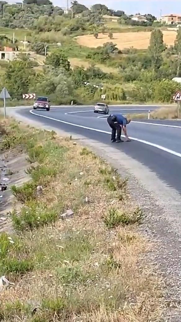 Yalova’da polis memuru kaplumbağayı kurtardı