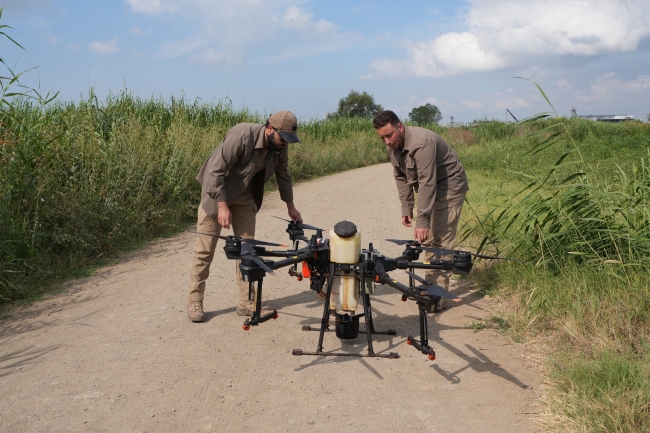 Drone ile sinek avı
