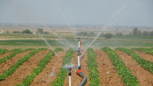 Adanalı çiftçi güneş enerjisiyle üretimine destek sağladı