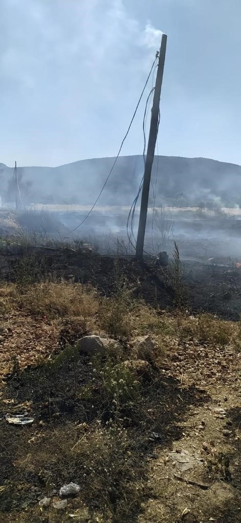 Sazlık alanda korkutan yangın