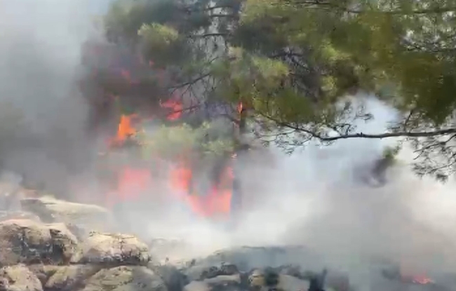 Adıyaman'da orman yangını paniği