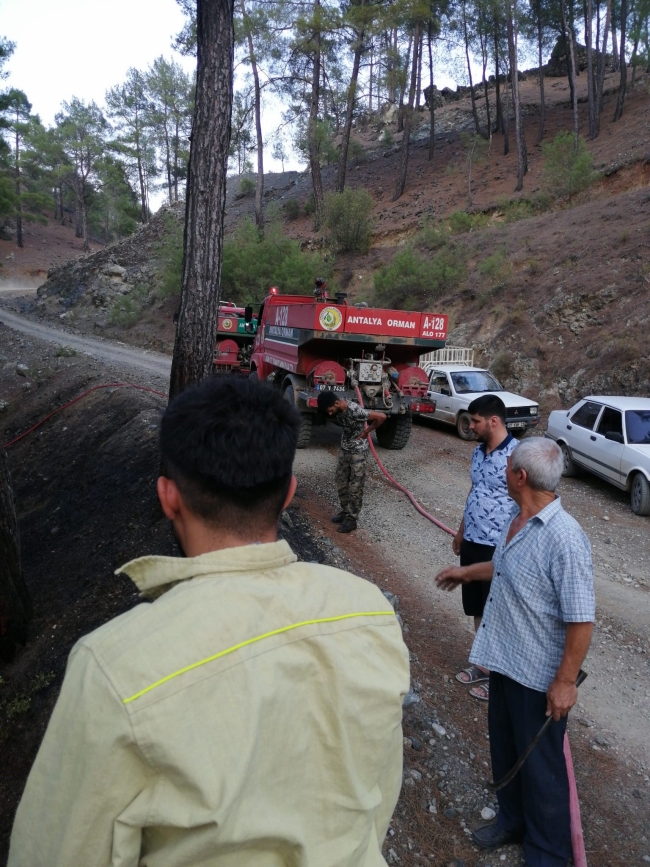 Antalya'da orman yangını büyümeden söndürüldü