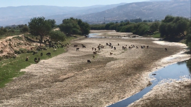 Aydın Ovası'nda kuraklık tehlikesi sona erdi