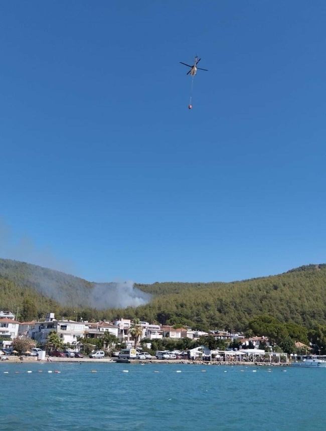 Bodrum'da orman yangını