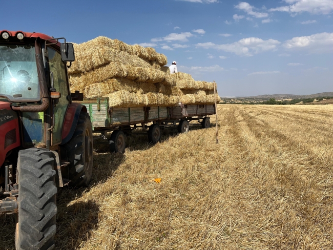 Çiftçilerin saman mesaisi başladı