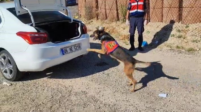 Uyuşturucu tacirlerine 'Raket' göz açtırmıyor