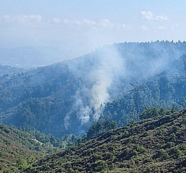 Hatay'da orman yangını