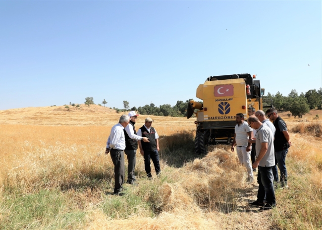 Keten tohumları ilk ürünlerini veriyor