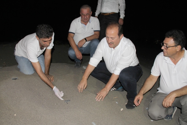 Deniz kaplumbağalarının yolculuğu başladı