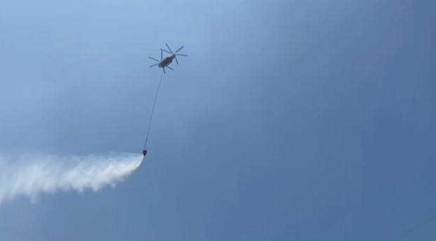 İzmir'de makilik yangını