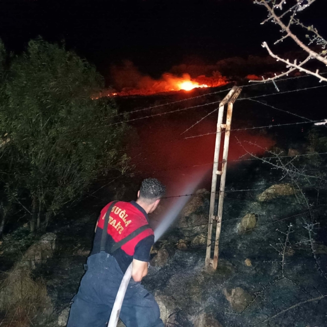 Bodrum'daki yangının bilançosu belli oldu