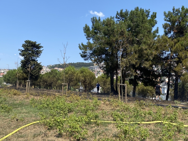 15 Temmuz Köprü yolunda korkutan yangın