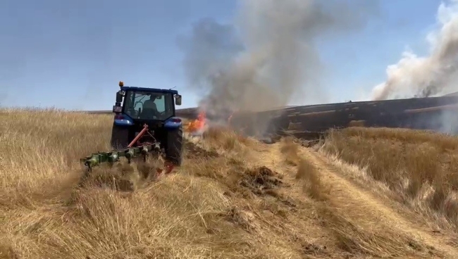 Sivas'ta 3 bin dönümlük buğday tarlası kül oldu